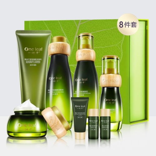 化妝品行業標桿 加盟精妝聯華化妝品收獲更大的成功