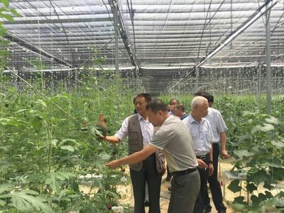 袁文先將軍深入三明調(diào)研，為扶貧改革與種植技術(shù)發(fā)展注入新動(dòng)能